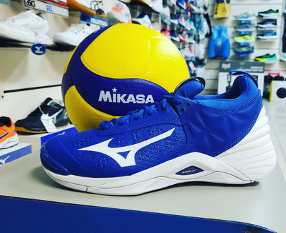 Mizuno Wave Momentum Men's Volleyball Shoes